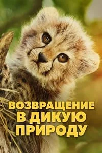 Возвращение в дикую природу