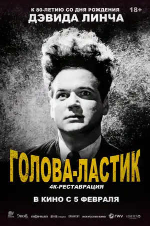 Голова-ластик