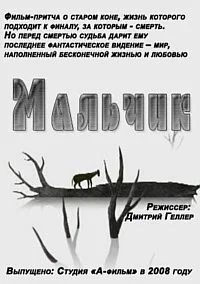 Мальчик