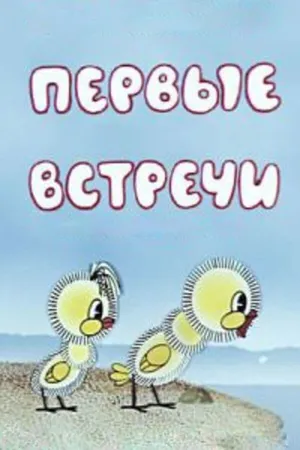 Первые встречи