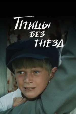 Птицы без гнезд