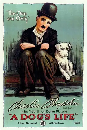 Собачья жизнь