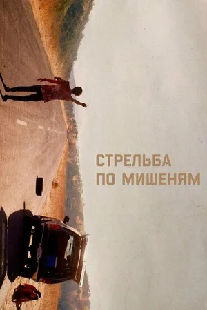 Стрельба по мишеням