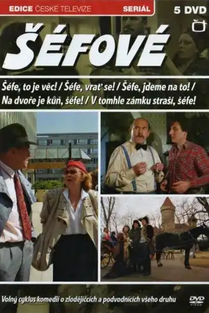 Вернись, шеф!